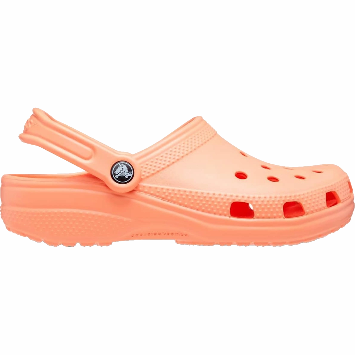 Classic Clog