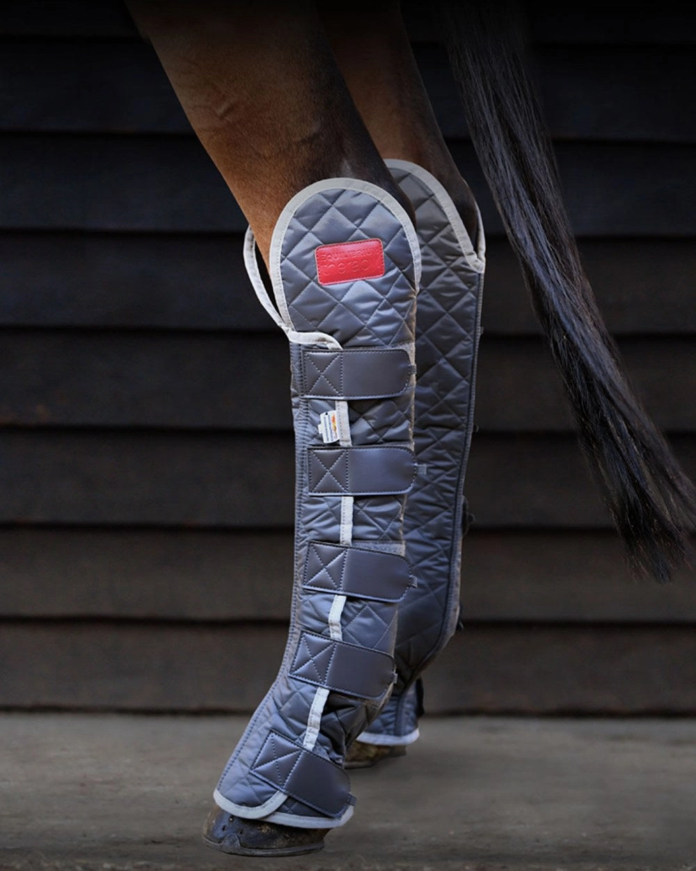 Equilibrium Magnetic Hind & Hock Chaps