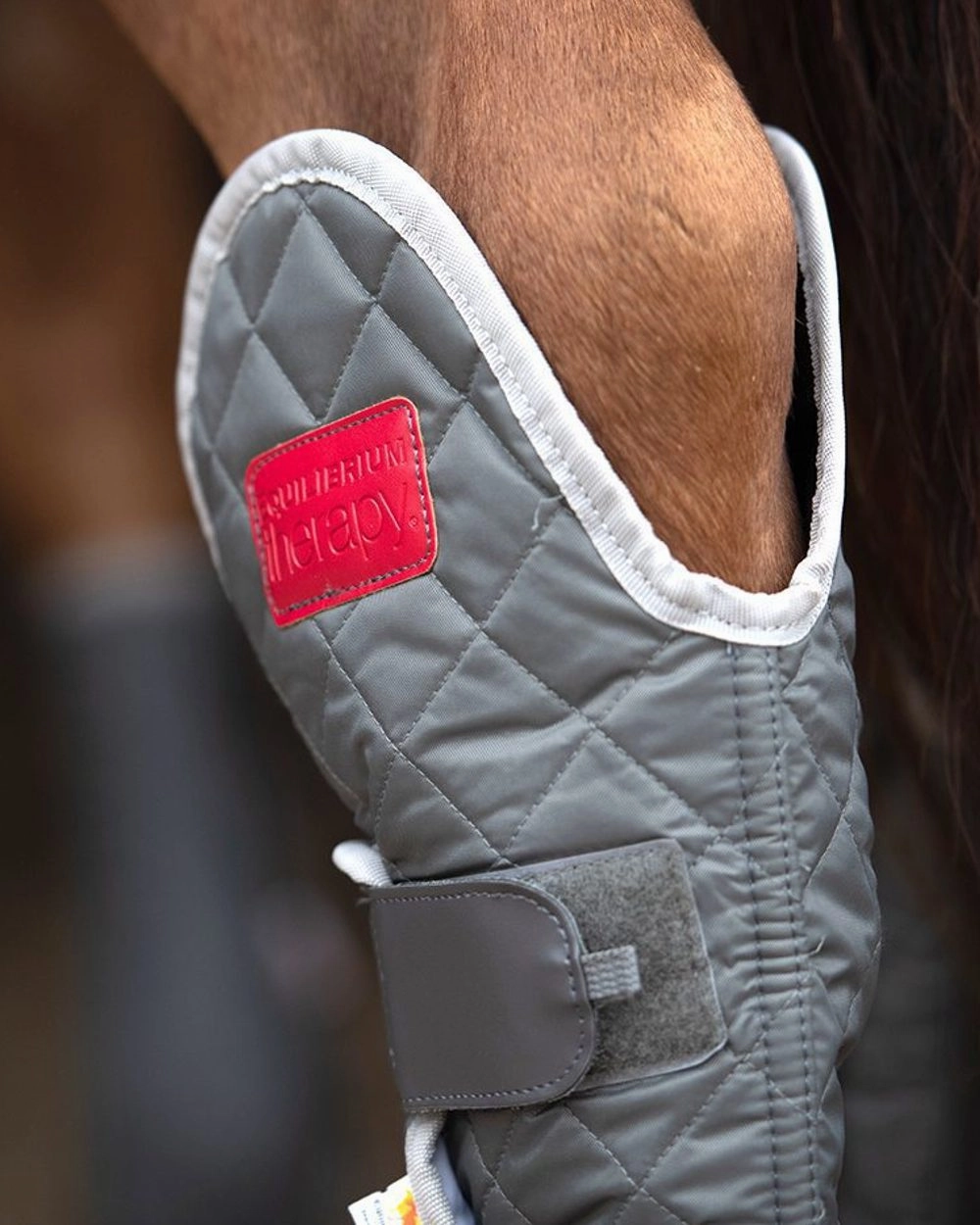 Equilibrium Magnetic Hind & Hock Chaps