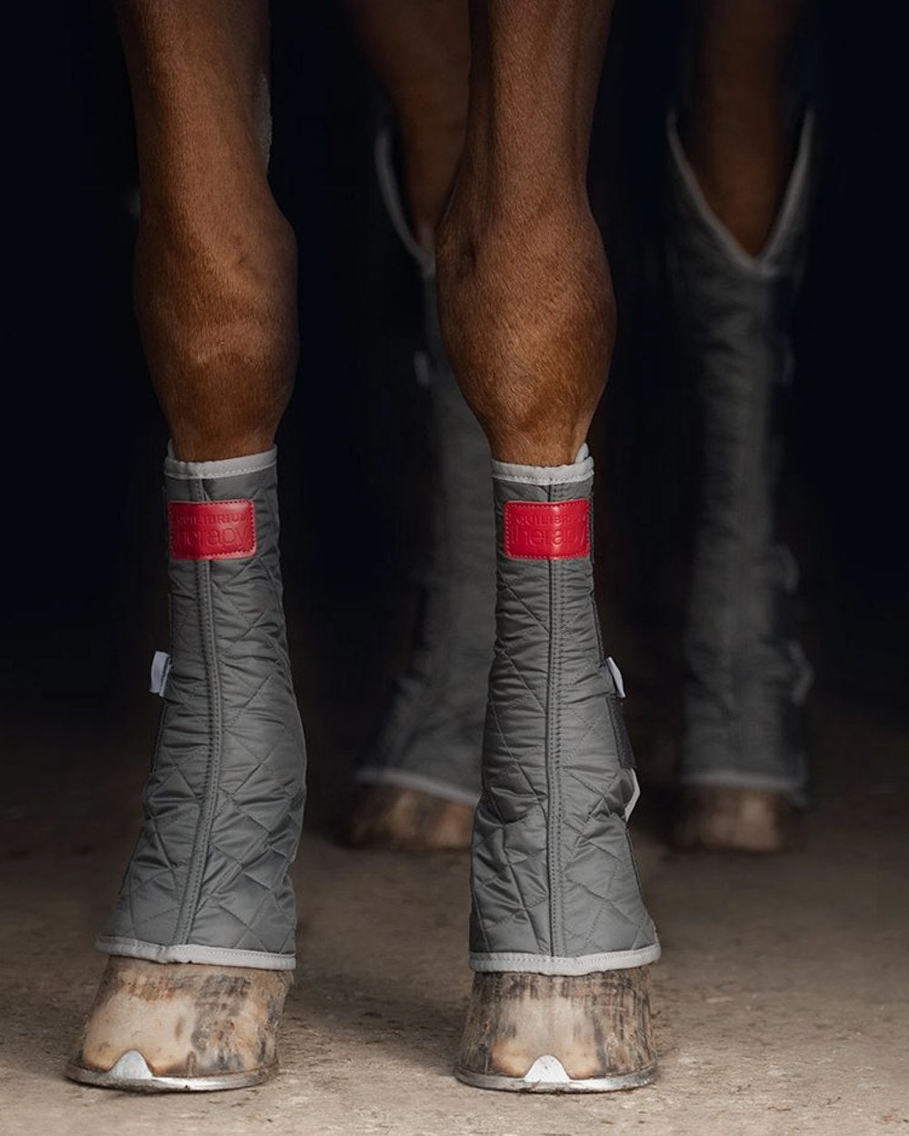 Equilibrium Magnetic Hind & Hock Chaps