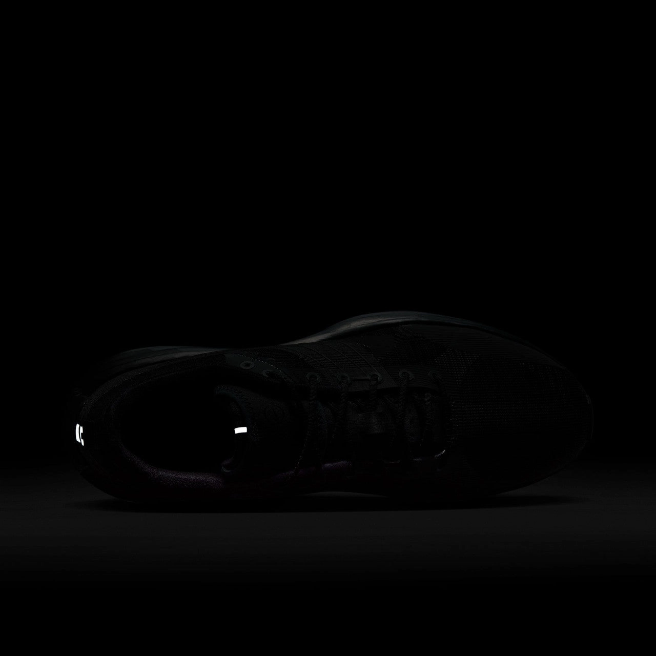 Lunar Roam