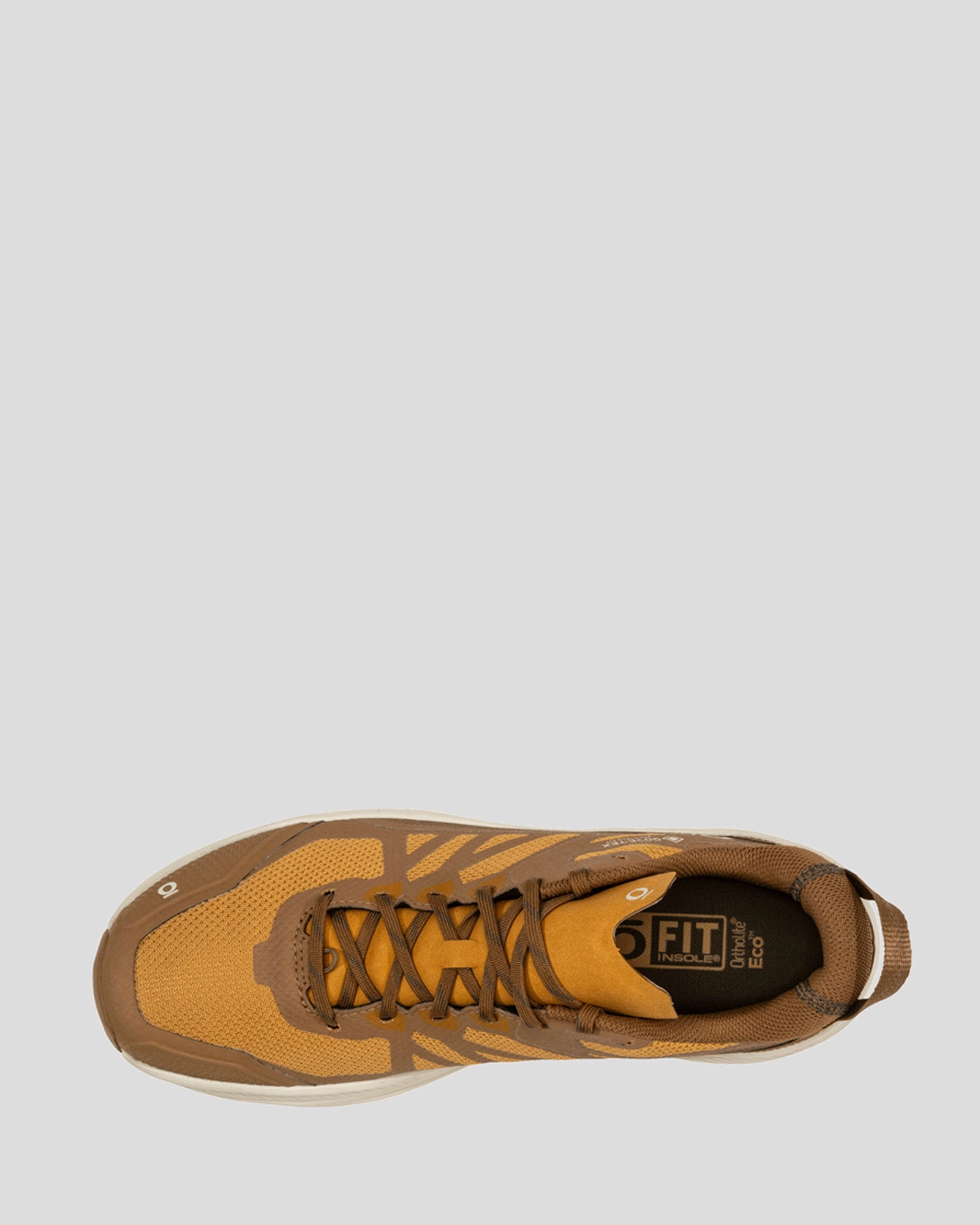 Men's Oboz Katabatic LT Low GTX - Saddle