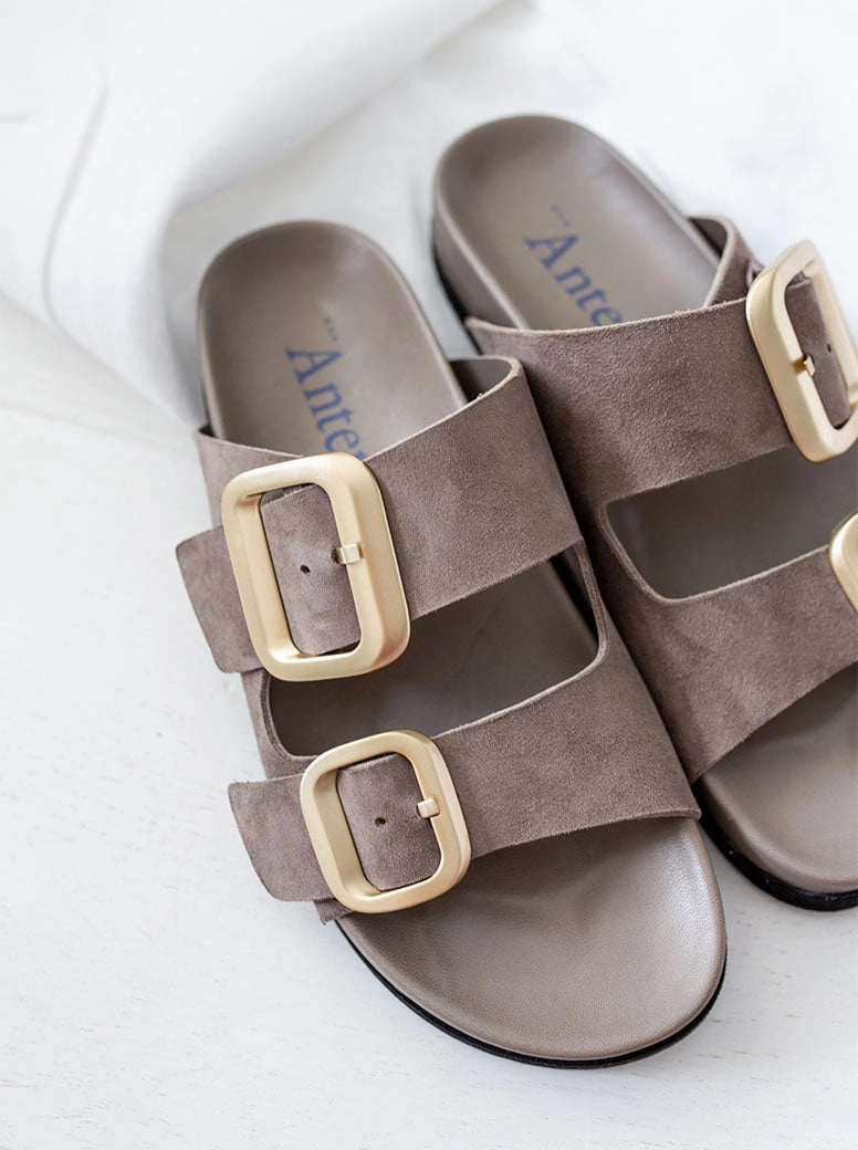 Shari taupe suede