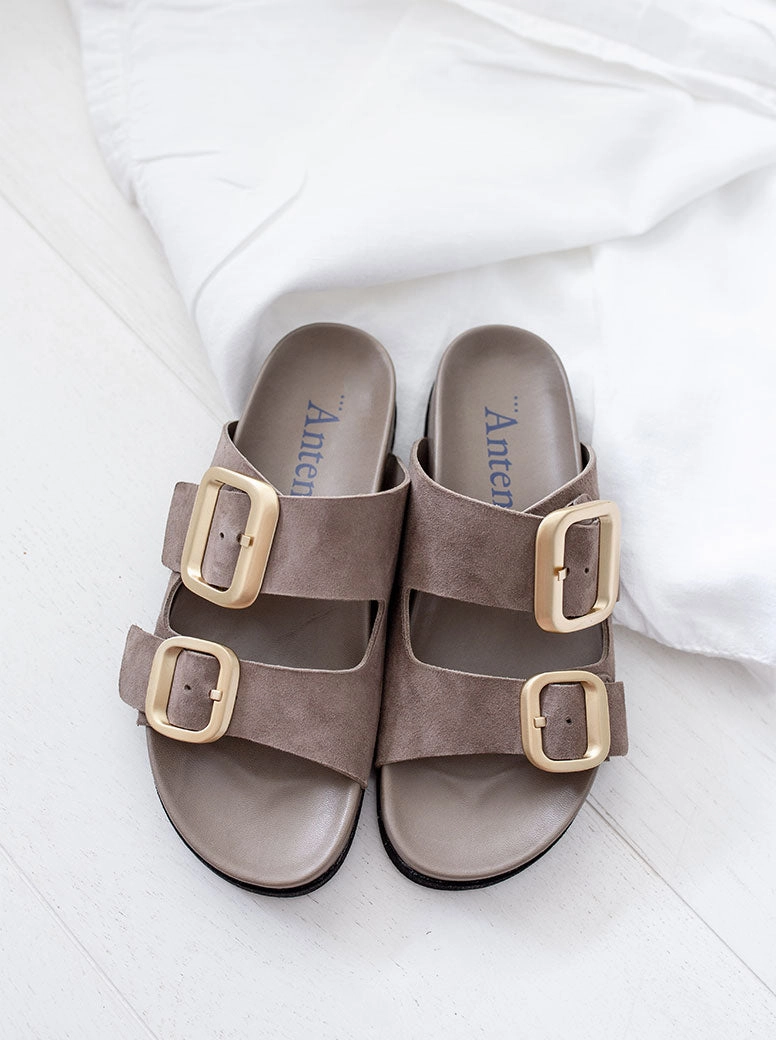 Shari taupe suede