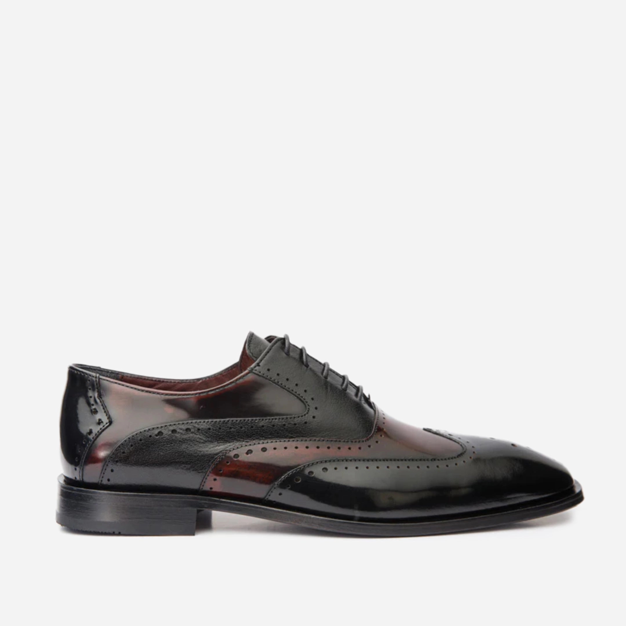 The Dicle Black/Burgundy Wingtip Semi Brogue Derby Men Shoe